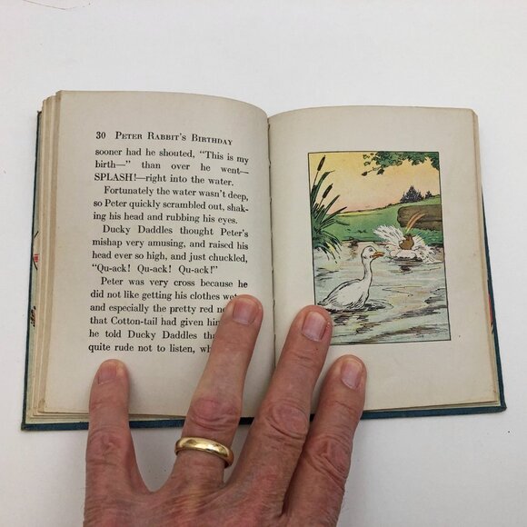 Peter Rabbit's Birthday Wee Books for Wee Folks Almond HB 28 Illustrations - Picture 10 of 11